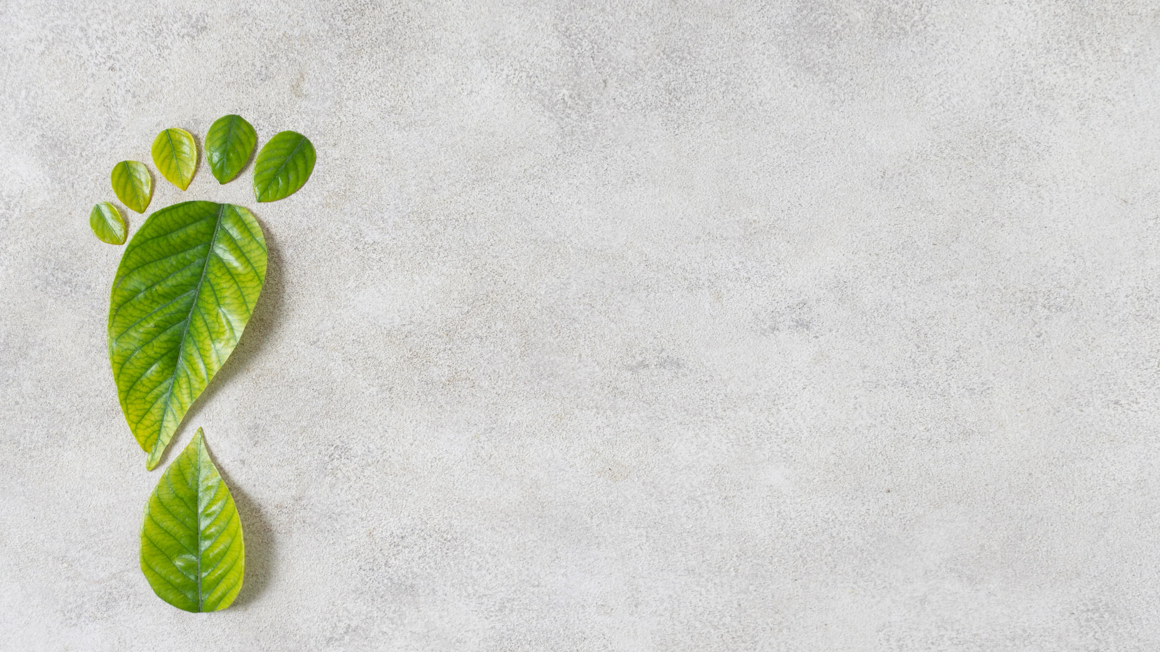 The Significance of Monitoring Your Carbon Footprint